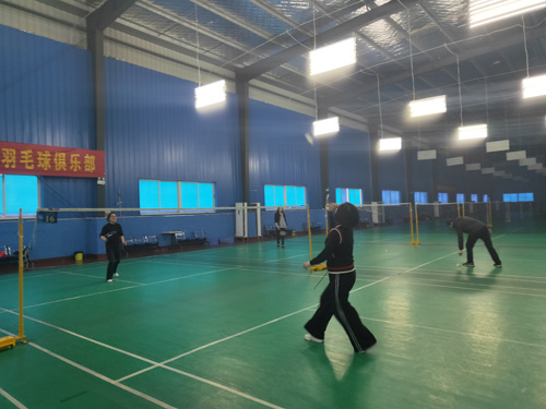 三八女神节羽毛球友谊赛圆满成功