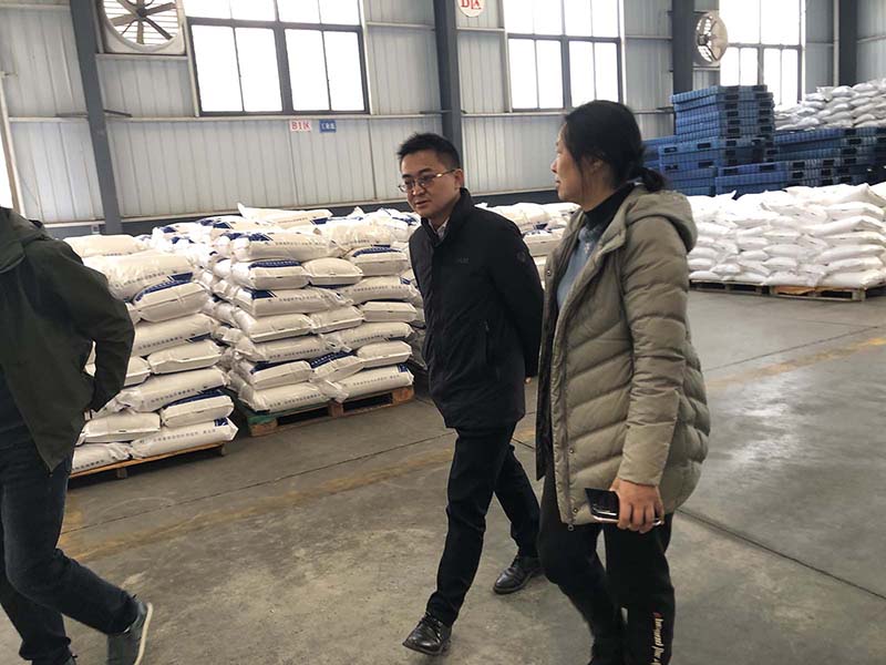宁乡市领导莅临湖南江海参观考察