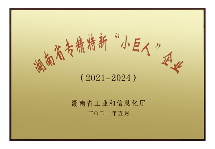 湖南省专精特新“小巨人企业”